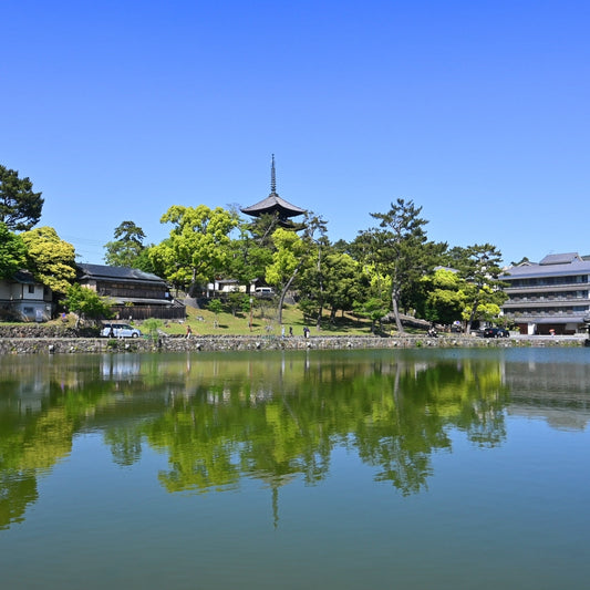 Step Into Golden Week: New Colors to Brighten Your Days